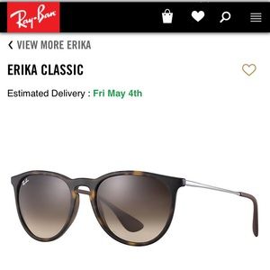 Ray Ban Erika Sunglasses